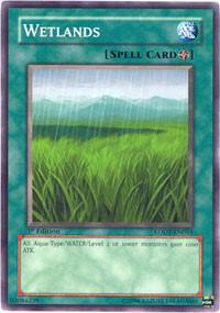 Wetlands LODT-EN054 card from Light of Destruction