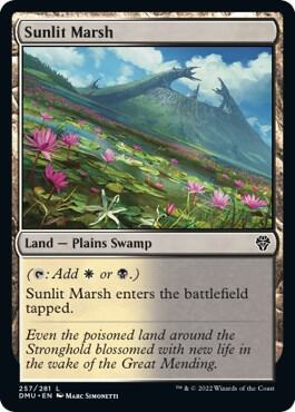 Sunlit Marsh 257 card from Dominaria United