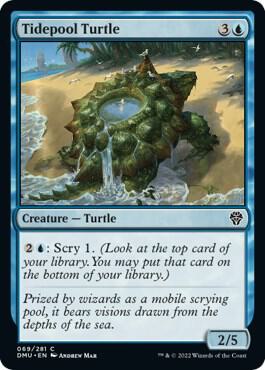 Tidepool Turtle 69 card from Dominaria United