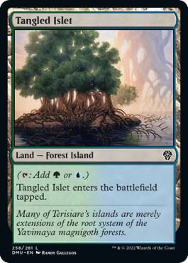 Tangled Islet 258 card from Dominaria United