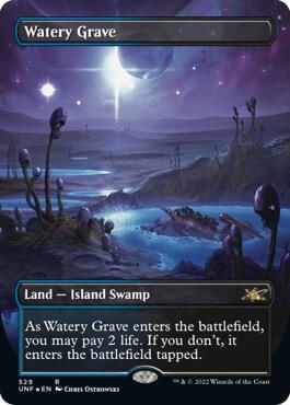 Watery Grave (Borderless) (Galaxy Foil) 529 card from Unfinity