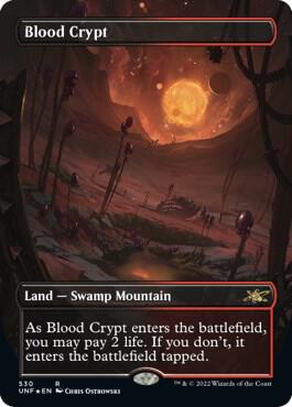 Blood Crypt (Borderless) (Galaxy Foil) 530 card from Unfinity