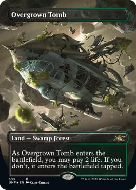 Overgrown Tomb (Borderless) (Galaxy Foil) 535 card from Unfinity