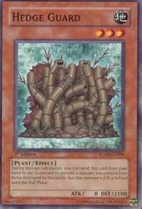 Hedge Guard RGBT-EN008 card from Raging Battle