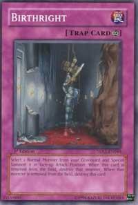 Birthright 5DS1-EN040 card from 5D's 2008 Starter Deck