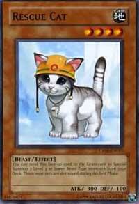 Rescue Cat CP05-EN015 card from Champion Pack 5
