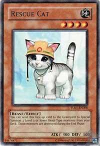 Rescue Cat TU01-EN008 card from Turbo Pack Booster One Pack