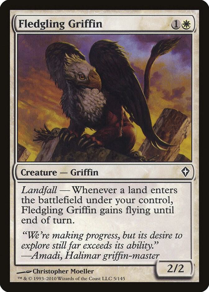 Fledgling Griffin 5 card from Worldwake