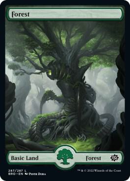 Forest - Full Art 287 card from The Brothers' War