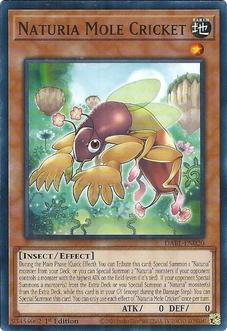 Naturia Mole Cricket DABL-EN020 card from Darkwing Blast