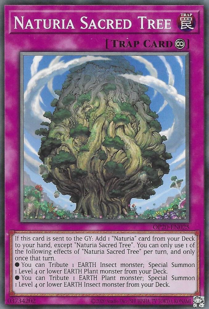 Naturia Sacred Tree OP20-EN025 card from OTS Tournament Pack 20