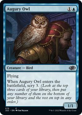 Augury Owl 273 card from Jumpstart 2022