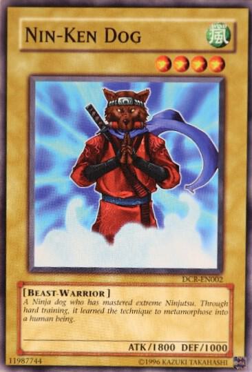 Nin-Ken Dog DCR-EN002 card from Dark Crisis (Worldwide English)