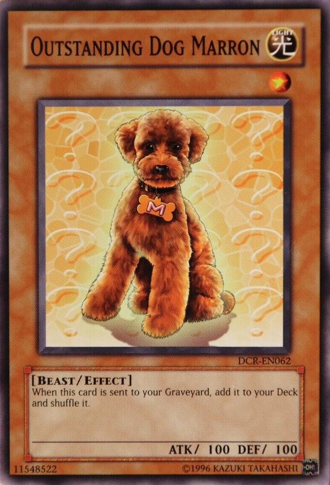 Outstanding Dog Marron DCR-EN062 card from Dark Crisis (Worldwide English)
