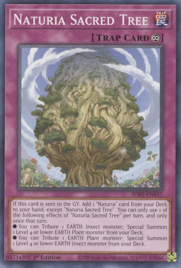 Naturia Sacred Tree SDBT-EN037 card from Structure Deck: Beware of Traptrix