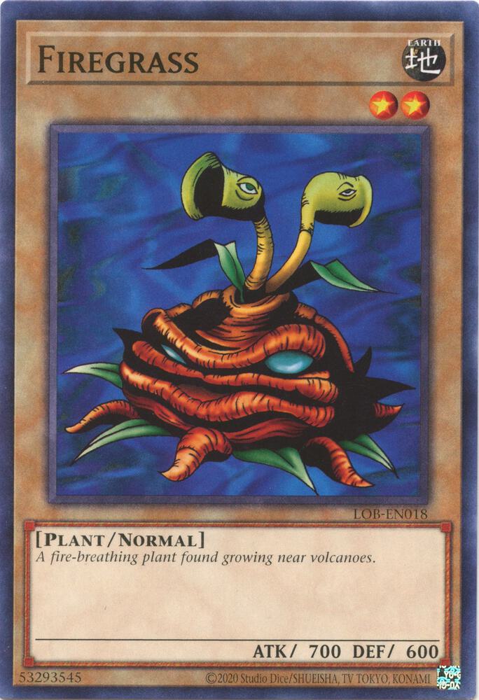 Firegrass LOB-EN018 card from Legend of Blue Eyes White Dragon (25th Anniversary Edition)