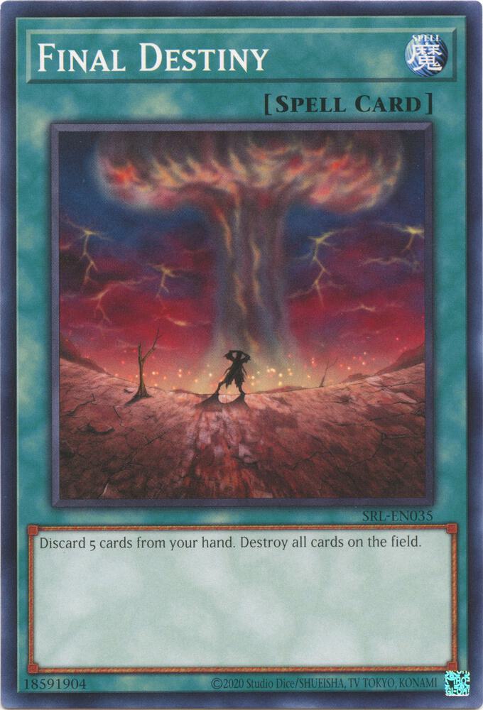 Final Destiny SRL-EN035 card from Spell Ruler (25th Anniversary Edition)