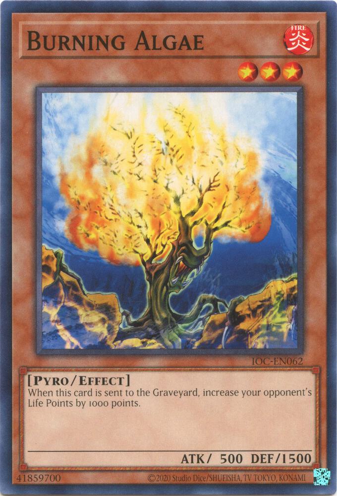 Burning Algae IOC-EN062 card from Invasion of Chaos (25th Anniversary Edition)