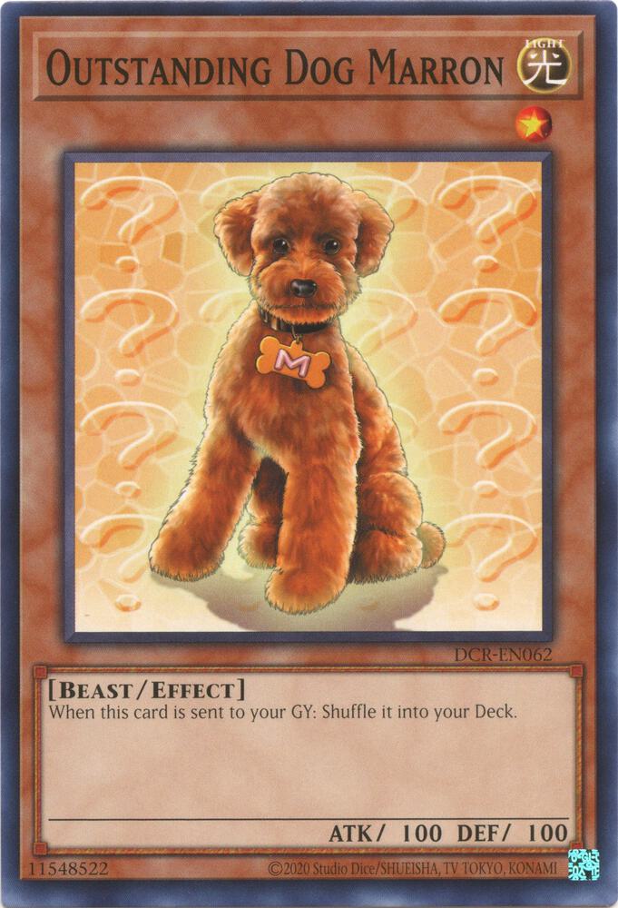 Outstanding Dog Marron DCR-EN062 card from Dark Crisis (25th Anniversary Edition)