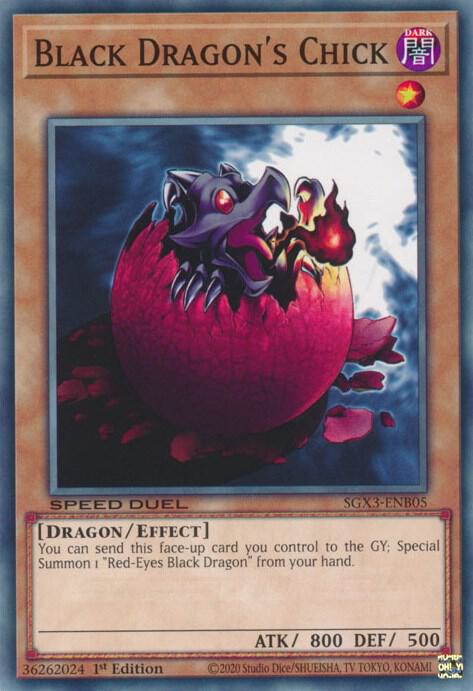 Black Dragon's Chick SGX3-ENB05 card from Speed Duel GX: Duelists of Shadows