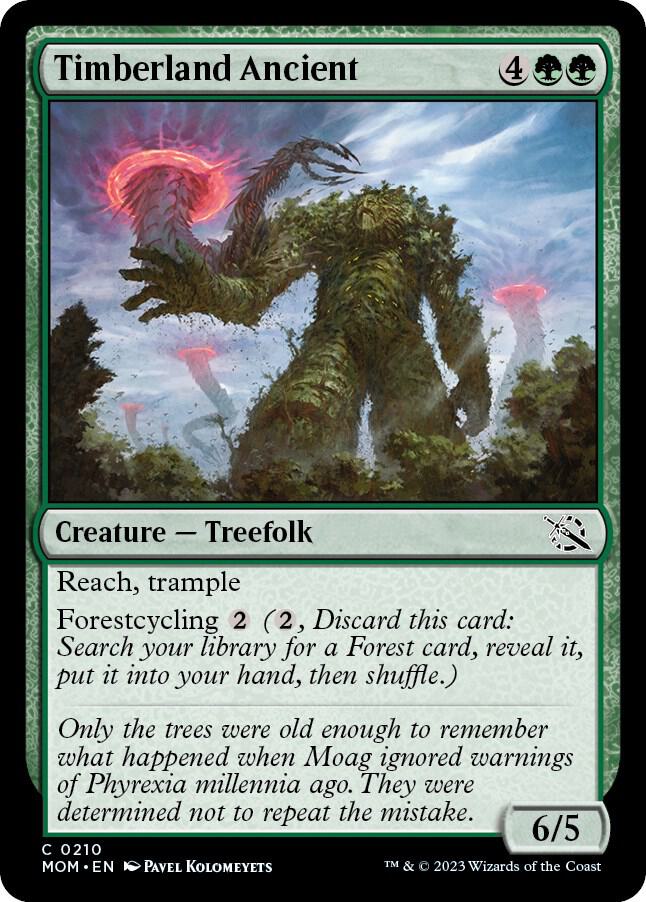 Timberland Ancient 210 card from March of the Machine