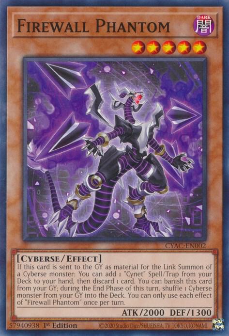 Firewall Phantom CYAC-EN002 card from Cyberstorm Access