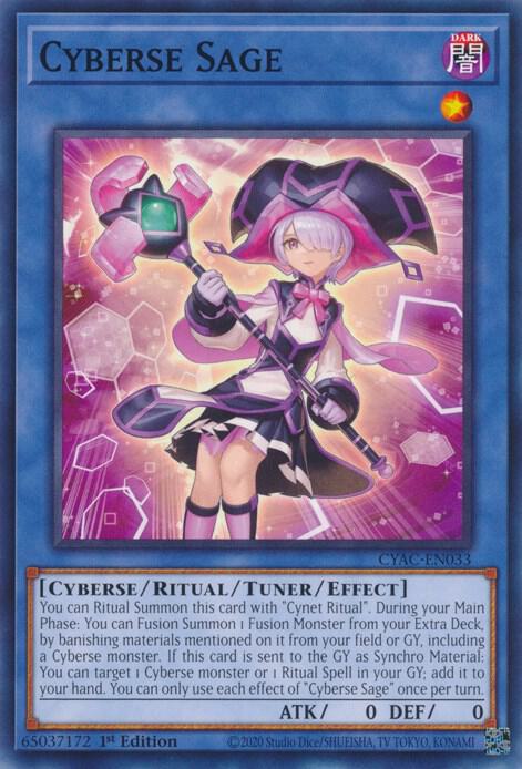 Cyberse Sage CYAC-EN033 card from Cyberstorm Access