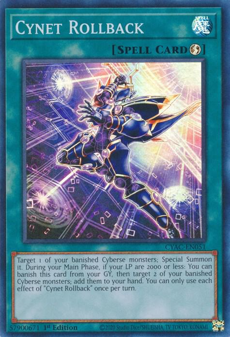 Cynet Rollback CYAC-EN051 card from Cyberstorm Access