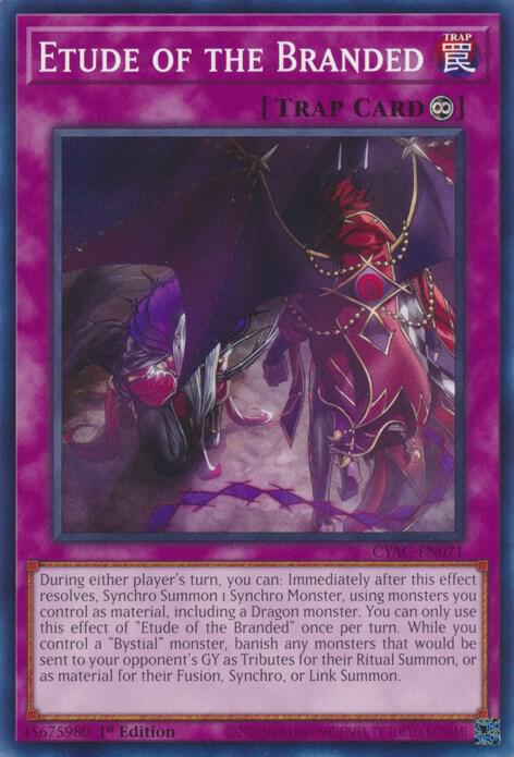 Etude of the Branded CYAC-EN071 card from Cyberstorm Access