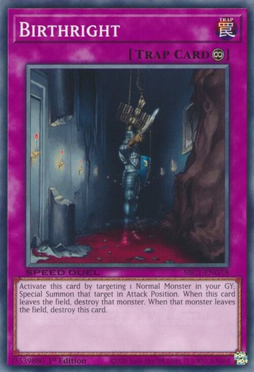Birthright SBC1-ENG18 card from Speed Duel: Streets of Battle City