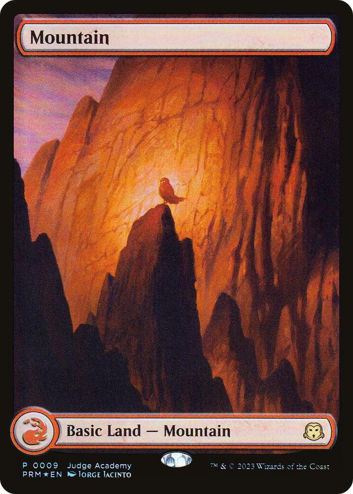 Mountain - Full Art 9 card from Judge Promos