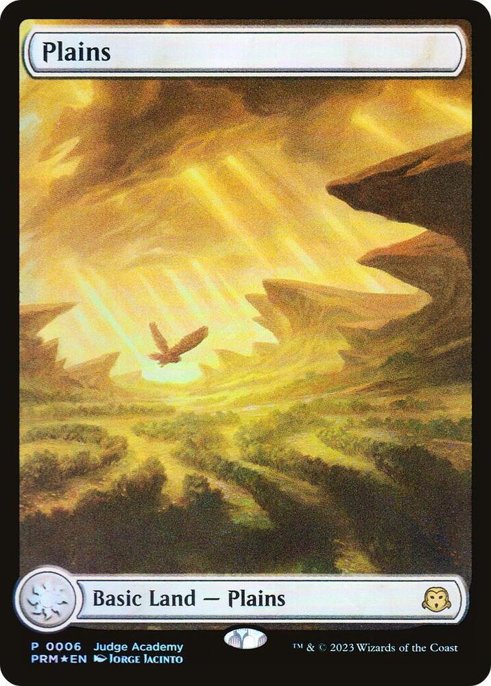 Plains - Full Art 6 card from Judge Promos