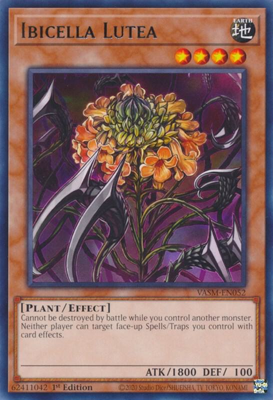 Ibicella Lutea VASM-EN052 card from Valiant Smashers