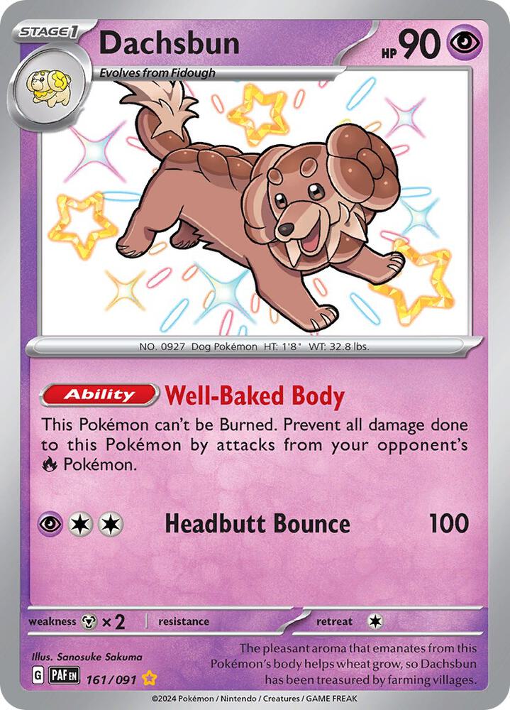 Dachsbun 161/091 card from SV: Paldean Fates