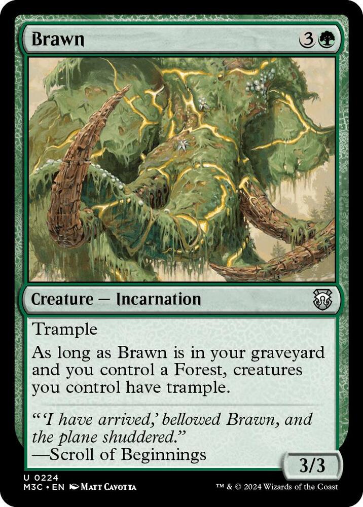 Brawn (Ripple Foil) 224 card from Commander: Modern Horizons 3