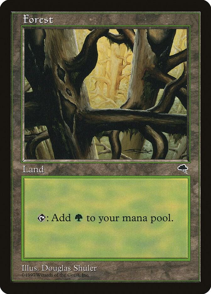 Forest (Ledge) 350 card from Tempest