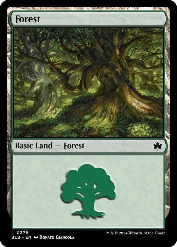 Forest 378 card from Bloomburrow