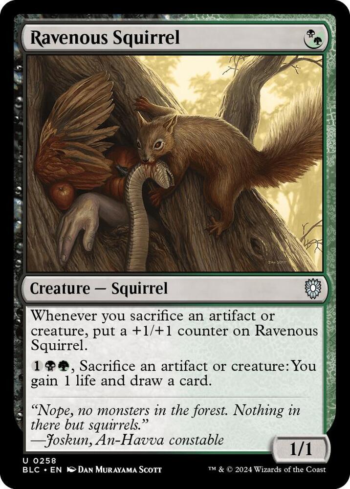 Ravenous Squirrel 258 card from Commander: Bloomburrow