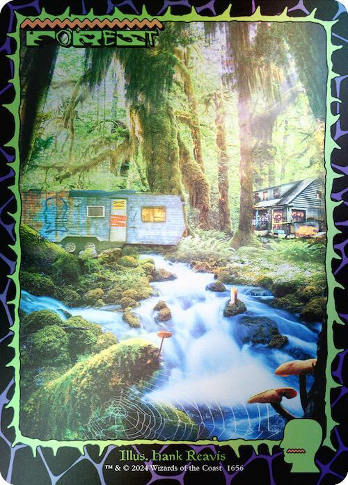 Forest (Rainbow Foil) 1656 card from Secret Lair Drop Series