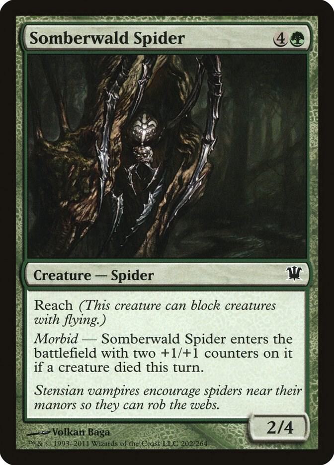 Somberwald Spider 202 card from Innistrad