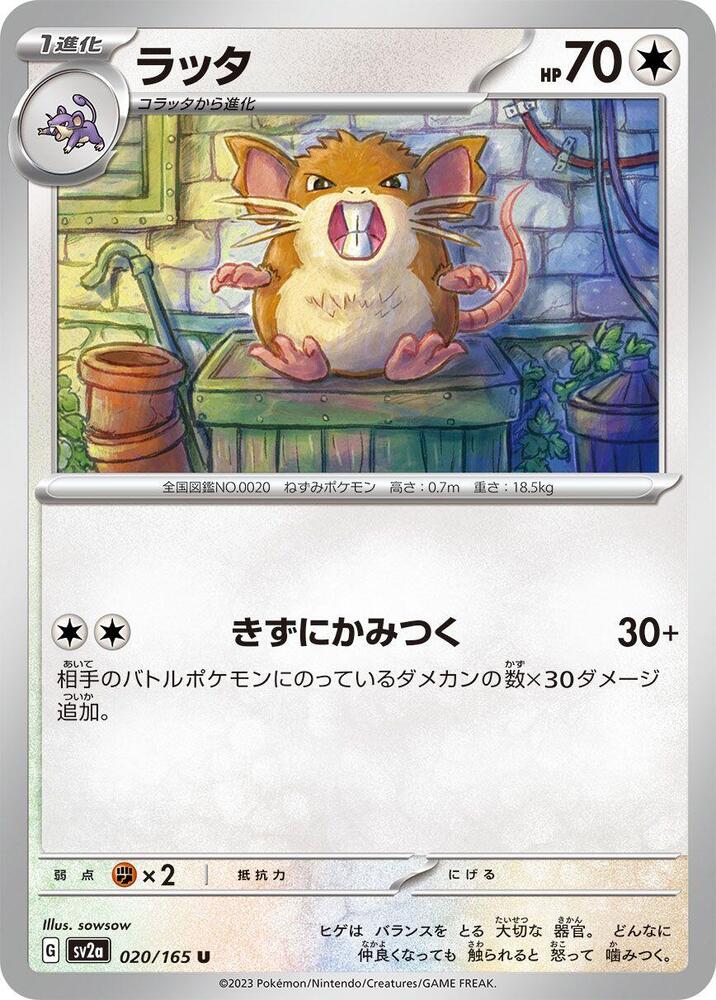 Raticate 020/165 card from SV2a: Pokemon Card 151
