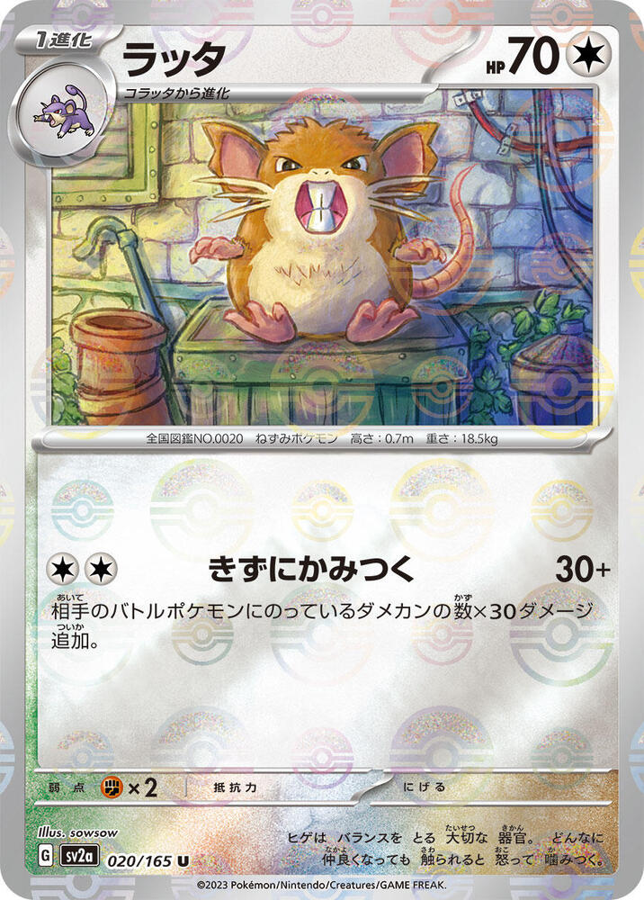 Raticate (Poke Ball Pattern) 020/165 card from SV2a: Pokemon Card 151