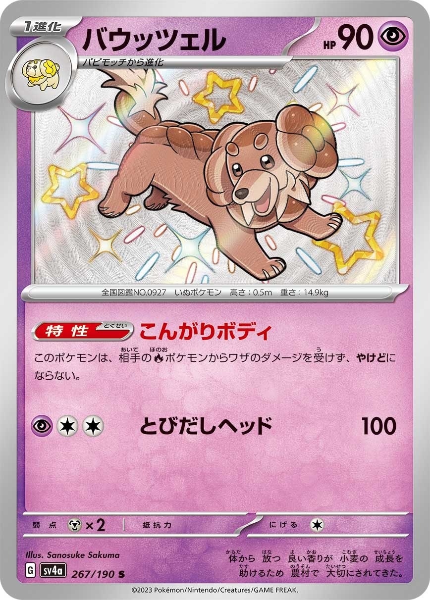 Dachsbun 267/190 card from SV4a: Shiny Treasure ex