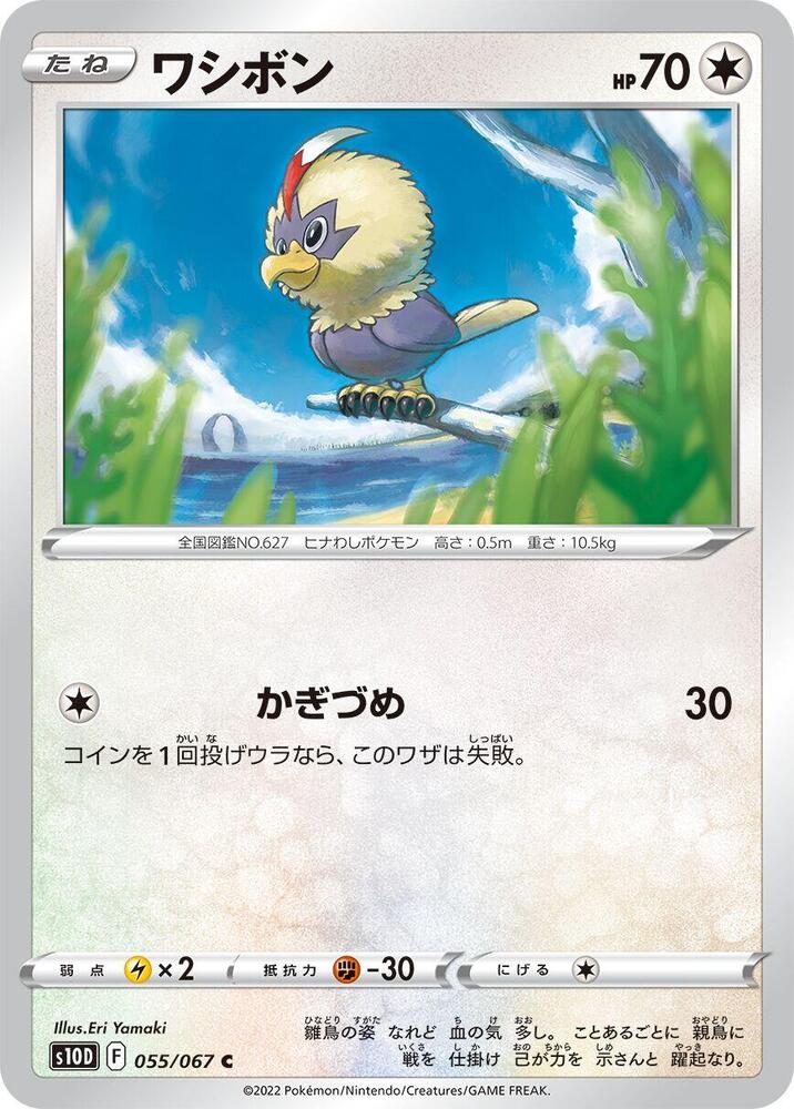 Rufflet 055/067 card from S10D: Time Gazer