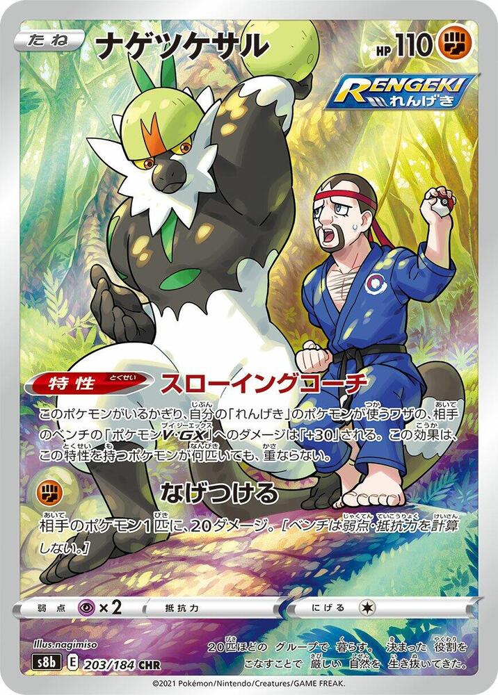 Passimian 203/184 card from S8b: VMAX Climax