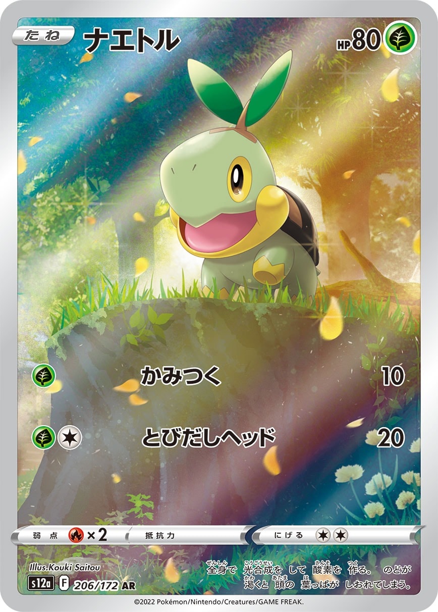 Turtwig 206/172 card from S12a: VSTAR Universe