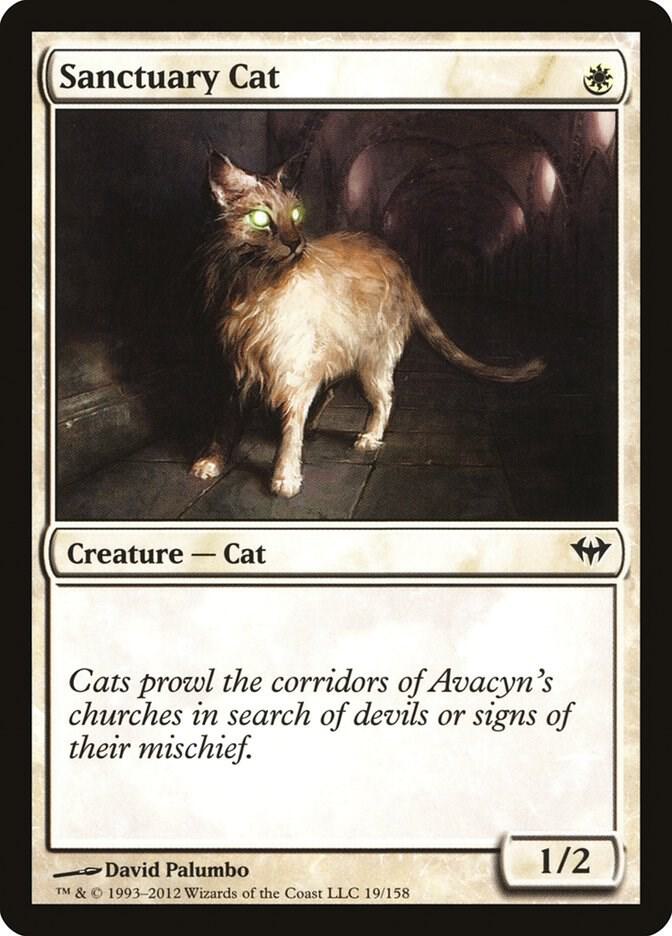 Sanctuary Cat 19 card from Dark Ascension