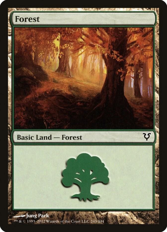 Forest 243 card from Avacyn Restored