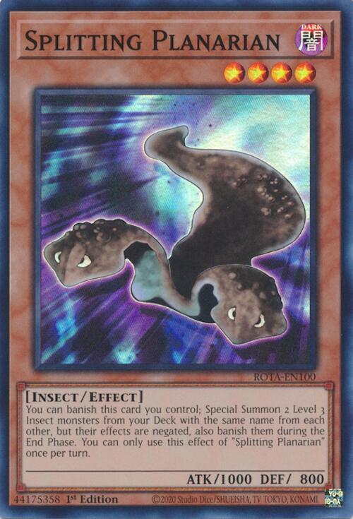 Splitting Planarian ROTA-EN100 card from Rage of the Abyss