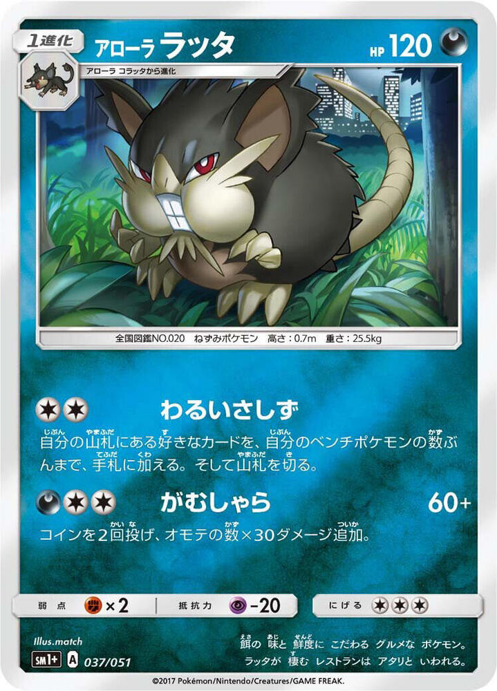 Alolan Raticate 037/051 card from sm1+: Enhanced Expansion Pack Sun & Moon